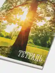 Бордовый тетрадь с природой "Времена года", 48 листов, в клетку