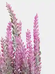 Фуксия искусственные цветы для декора.Лаванда