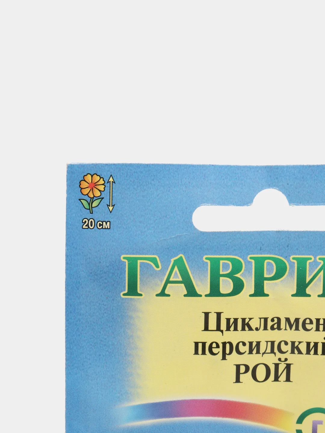 Семена Цикламен персидский "Рой" набор 1, 3, 5 уп