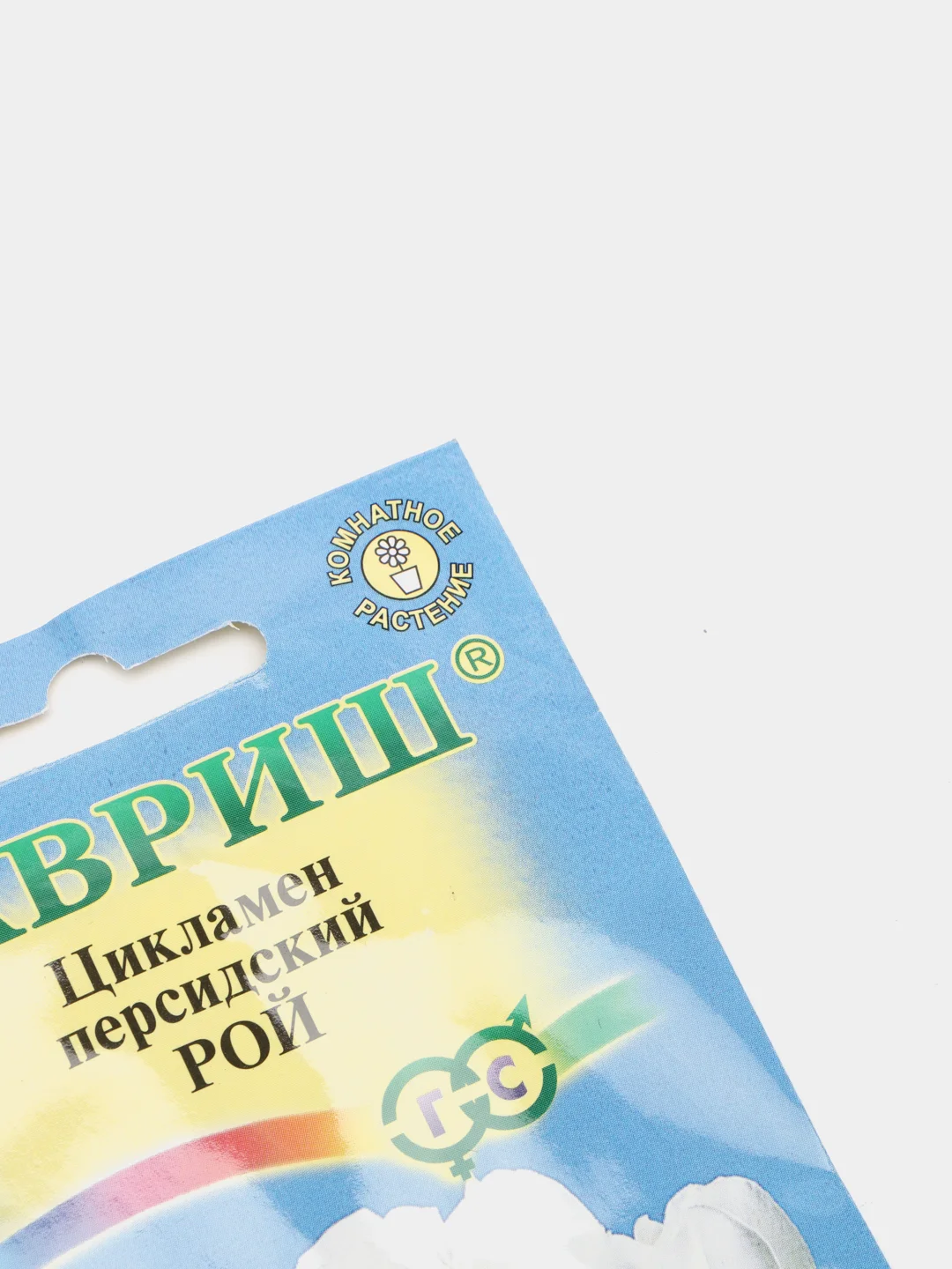Семена Цикламен персидский "Рой" набор 1, 3, 5 уп