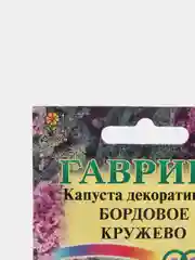 Семена Капуста декоративная "Бордовое кружево" набор 1, 3, 5 уп