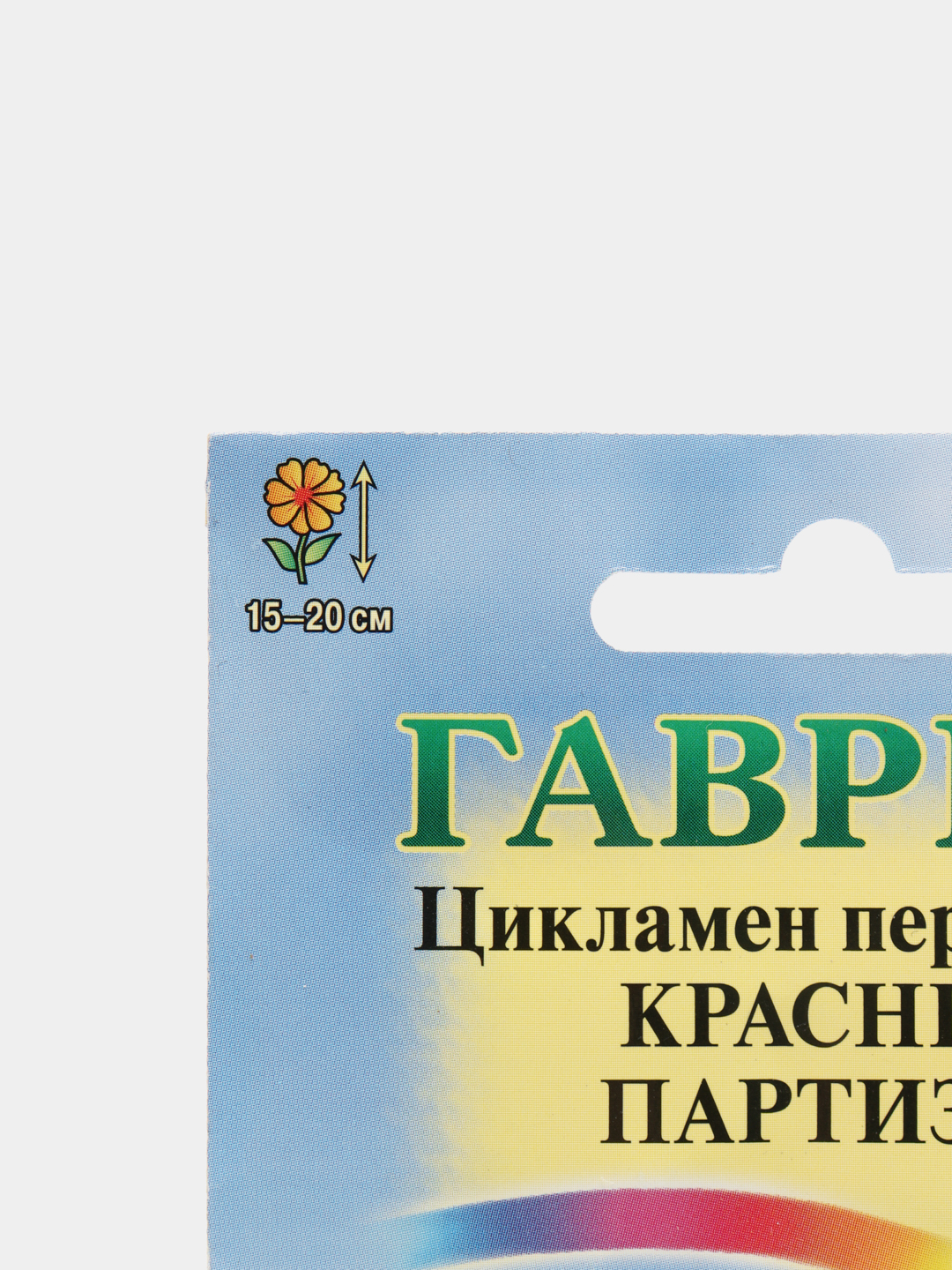 Семена Цикламен персидский Красный партизан набор 1, 3, 5 уп купить по цене  311 ₽ в интернет-магазине Магнит Маркет