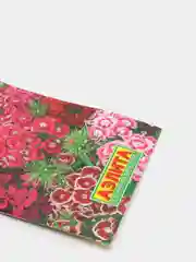 Гвоздика Дачный букет (семена,цветы)