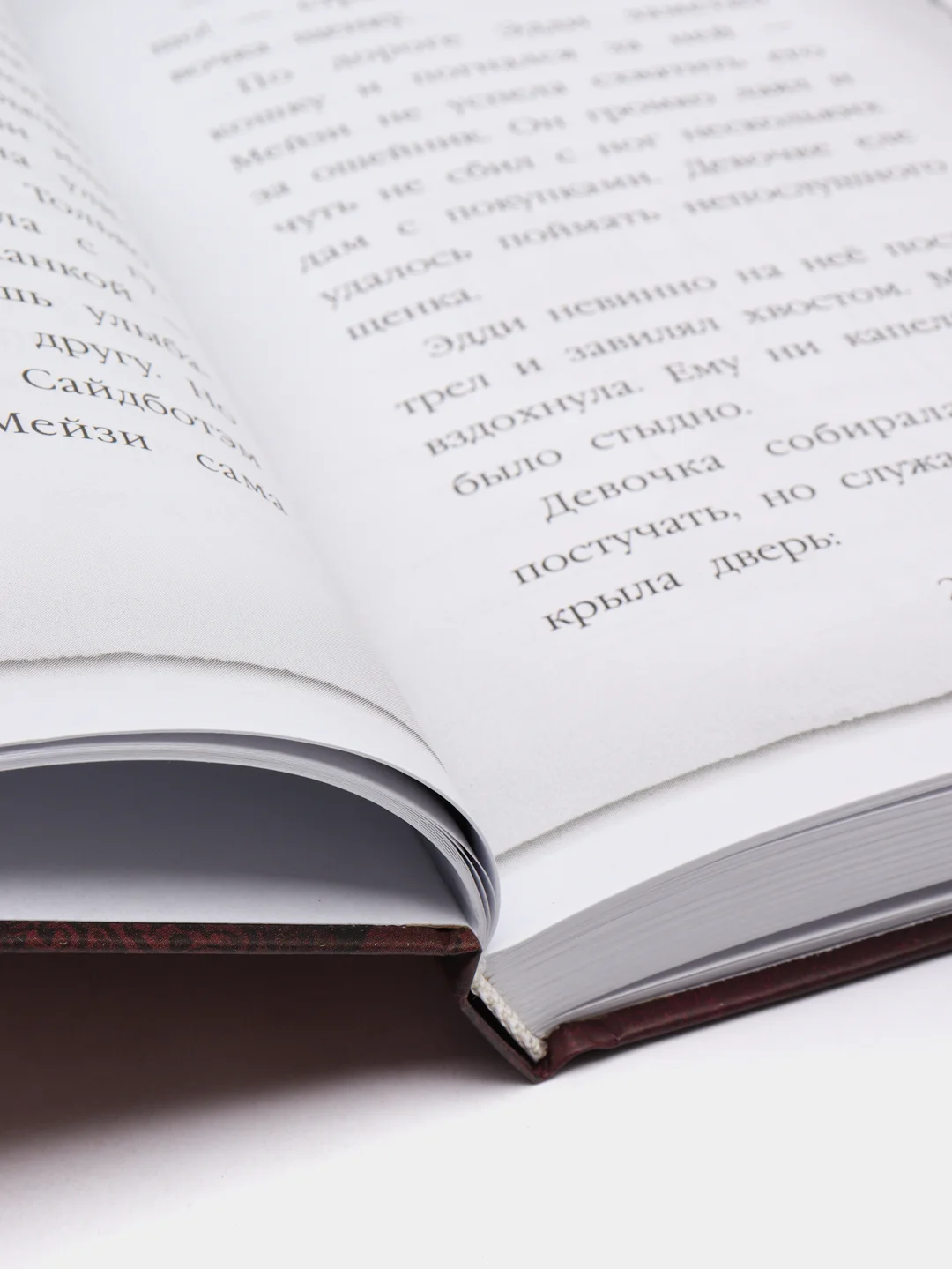Призрак кошки (#3), Холли Вебб