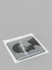 Золотой 3d наклейки стикеры на телефон "Jony / Джони"