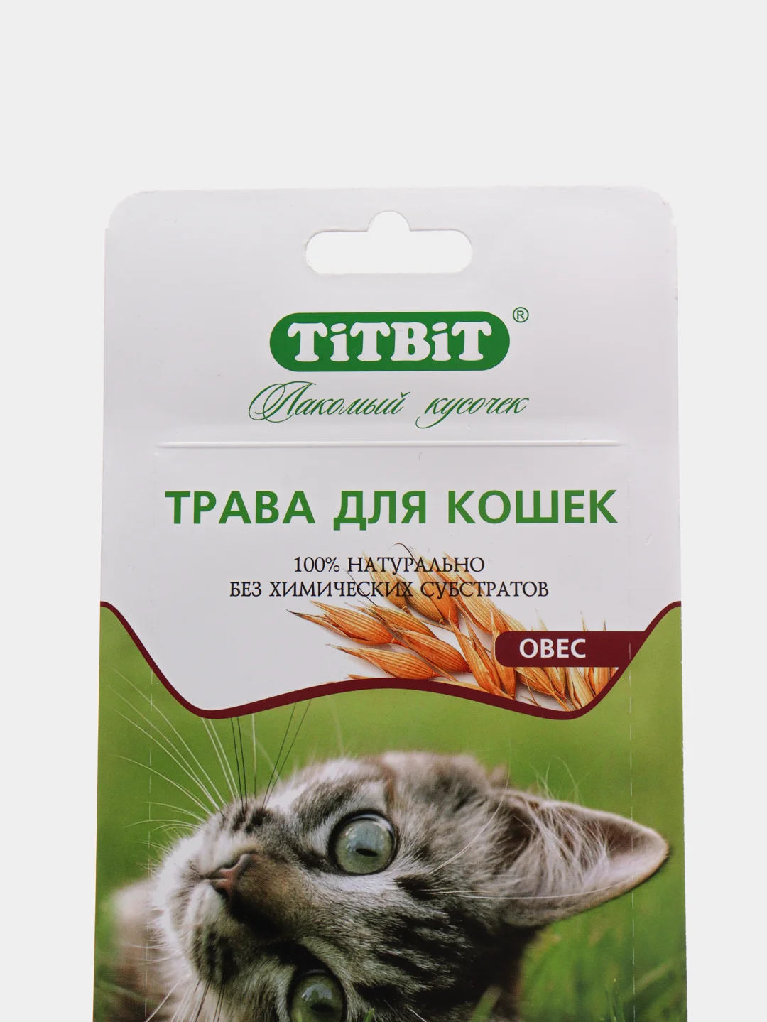 Трава для кошек TiTBiT, овес, 40 г
