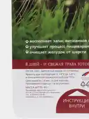 Трава для кошек TiTBiT, овес, 40 г