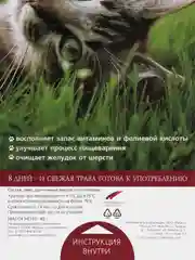 Трава для кошек TiTBiT, овес, 40 г