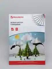 Картон белый BRAUBERG, 8 листов