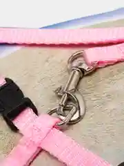 Фуксия шлейка регулируемая с поводком для кошек и собак мелких пород, нейлоновый прочный комплект