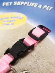 Фуксия шлейка регулируемая с поводком для кошек и собак мелких пород, нейлоновый прочный комплект