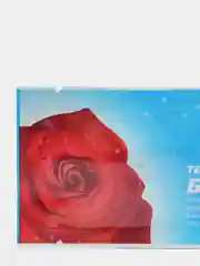 Тест на беременность