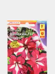 Петуния Арлекин бургунди (семена,цветы)