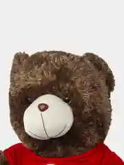 Коричневый плюшевые мишки LOVES
