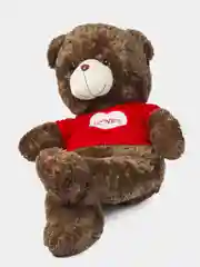 Коричневый плюшевые мишки LOVES