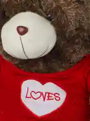 Коричневый плюшевые мишки LOVES