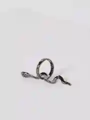 Черный кольцо со змеей