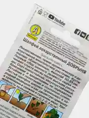 Шалфей лекарственный "Добрыня"