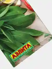 Шалфей лекарственный "Добрыня"
