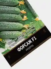 Огурец Форсаж F1