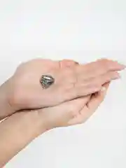 Брошь  "Тигр" рычащий