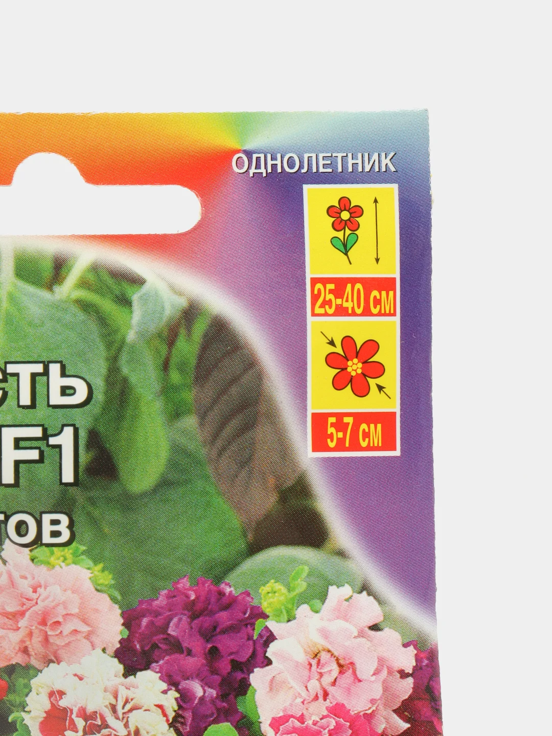 Петуния "Нежность лотоса" (семена, цветы)