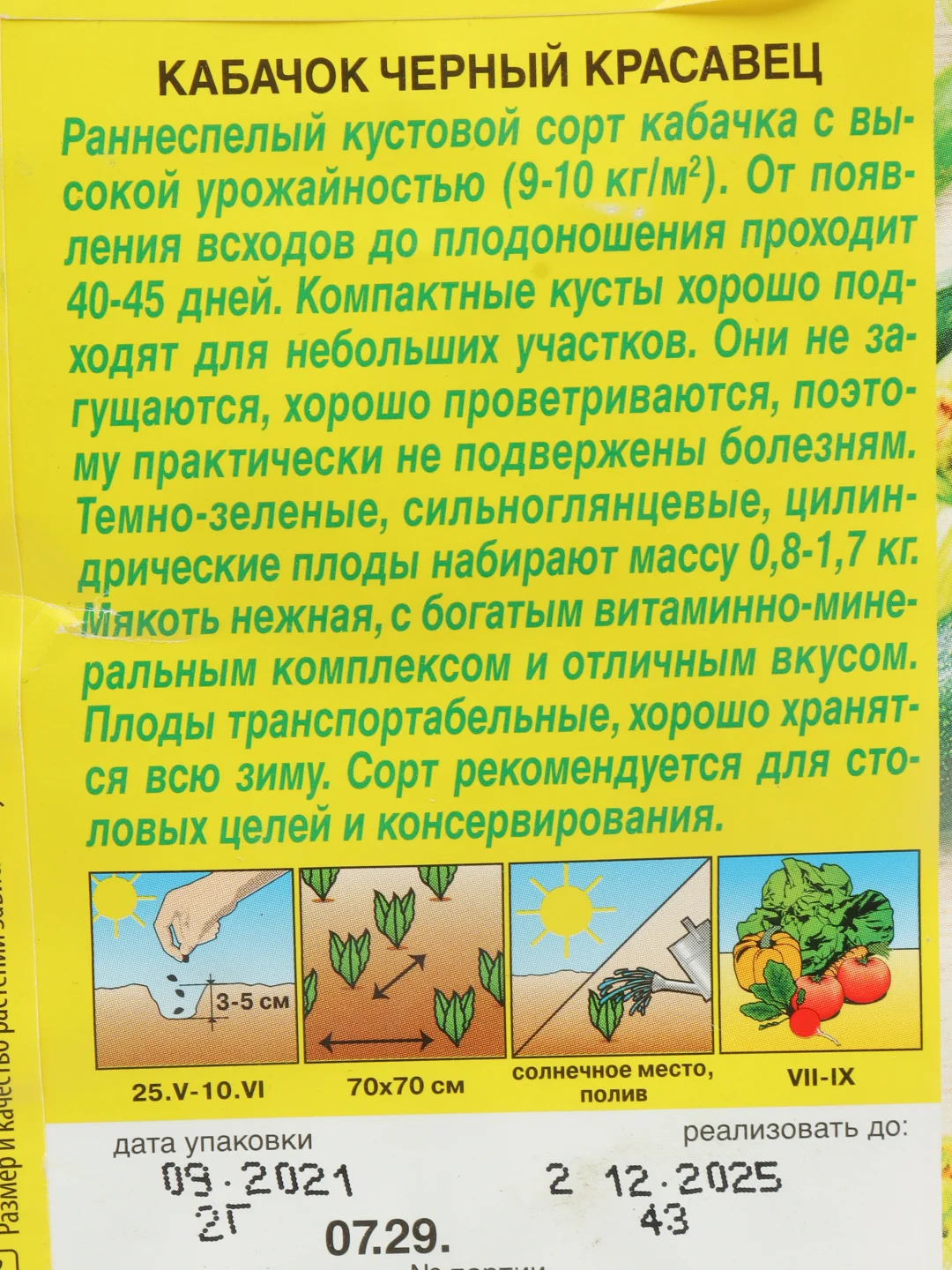 Семена Кабачок "Черный красавец"
