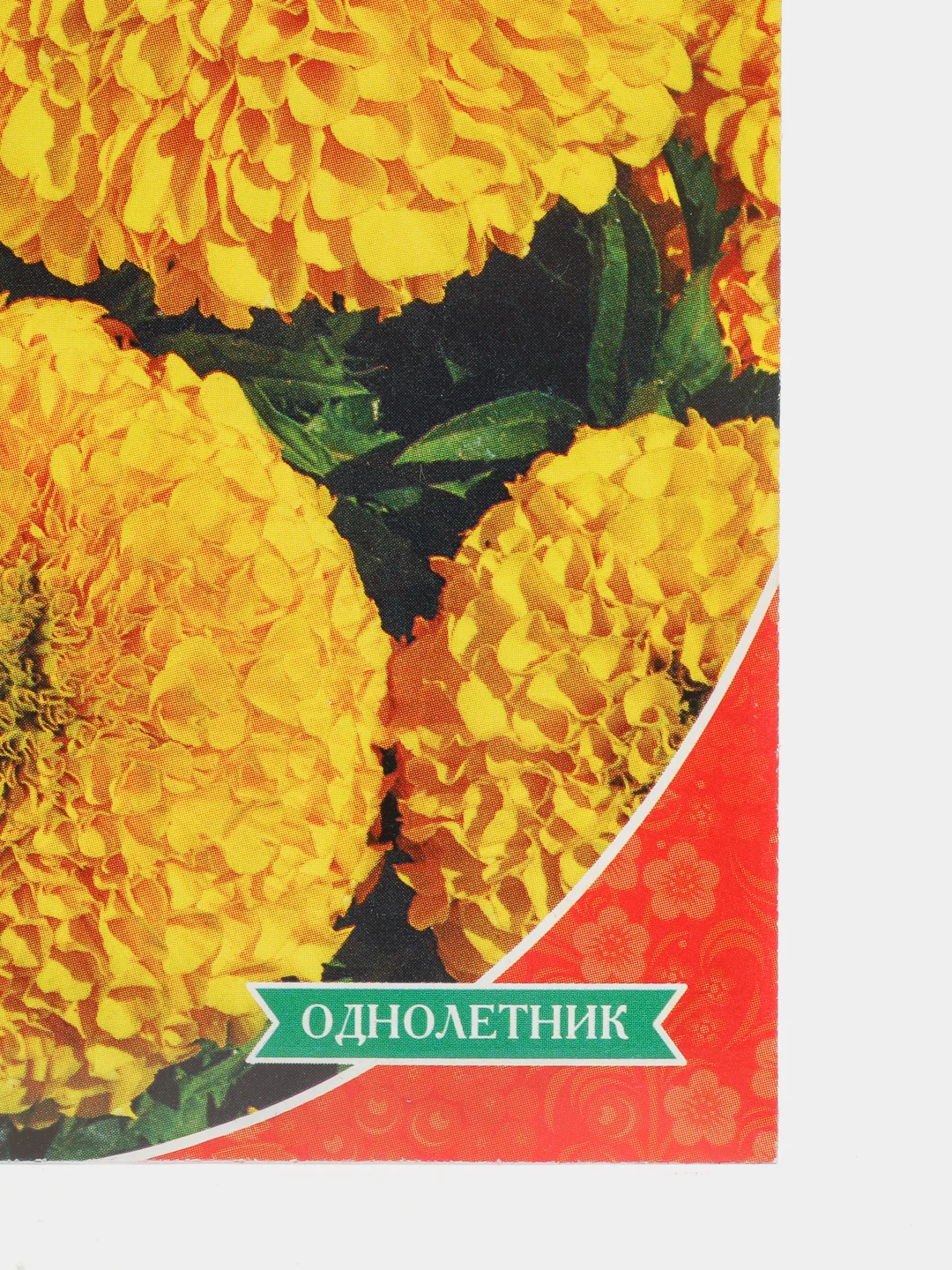 Семена Бархатцы "Мэри Хелен"