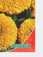 Семена Бархатцы "Мэри Хелен"