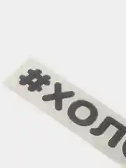 Черный наклейка на автомобиль "#ХОЛОСТ 19СМ"