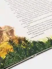 Книга детская картонная "Маугли" 235х310 мм. 14 стр. Проф-Пресс