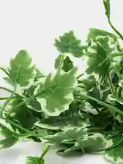 Оливковый искусственные листья лианы, 2.1 метра