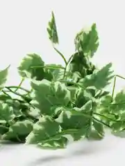 Оливковый искусственные листья лианы, 2.1 метра