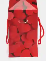 Пакет-коробка "Love", 23 * 18 * 11 см