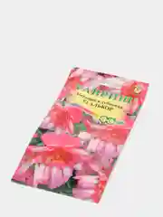Бегония Алькор (семена,цветы)