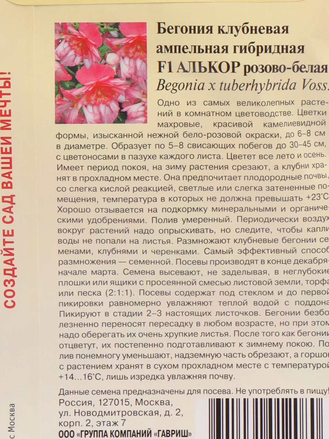 Бегония Алькор (семена,цветы)