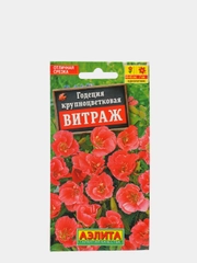 Годеция "Витраж", семена