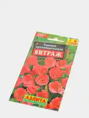 Годеция "Витраж", семена
