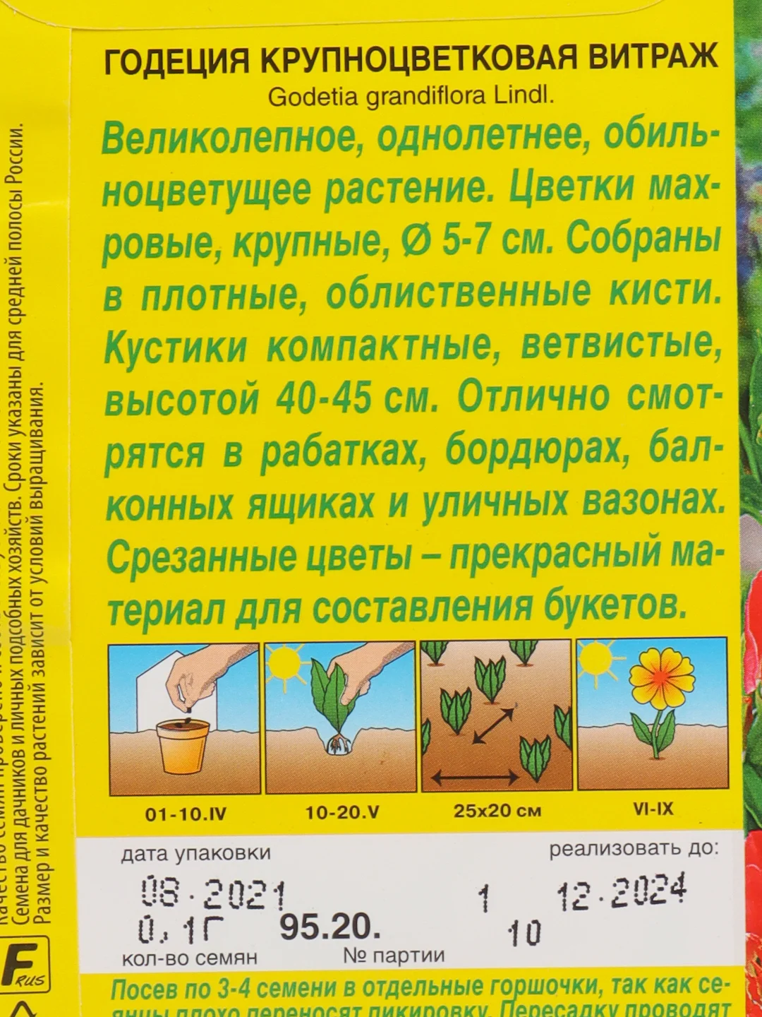 Годеция "Витраж", семена