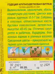 Годеция "Витраж", семена