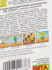 Петуния крупноцветковая низкорослая "Де Люкс", семена