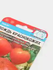 Томат "Вождь краснокожих", семена