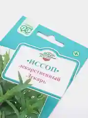 Иссоп лекарственный "Лекарь", семена