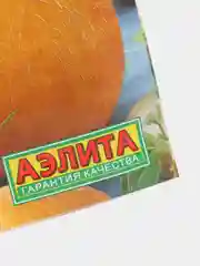 Семена Дыня "Колхозница", Лидер, 1 г