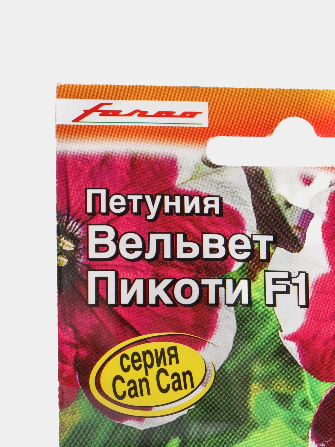 Петуния Вельвет пикоти (семена, цветы)