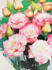 Эустома Эхо шампань (семена,цветы)