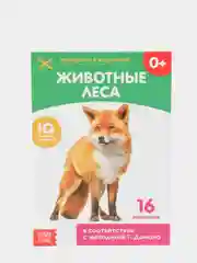 Зеленый обучающая книжка-карточка по методике Г. Домана