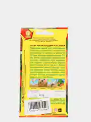 Семена, тыква крупноплодная "Россиянка"