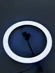 Кольцевая селфи-лампа RGB, 33 см