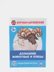 Синий обучающие карточки, 16 шт